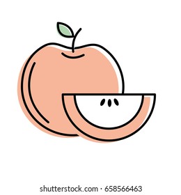 delicious apple with slice 
