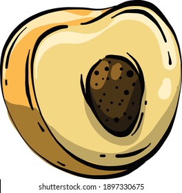 Álbaricoque delicioso, ilustración, vector sobre un fondo blanco.