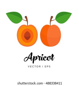 Delicious apricot vector editable image