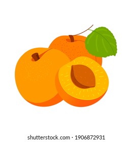 Delicious apricots, hand drawn icon.