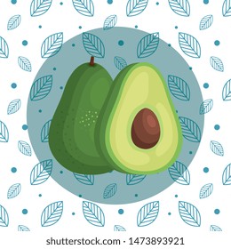 delicious avocado organic fruit nutrition
