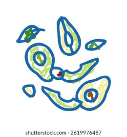 delicious avocado salad doodle icon sketch vector. delicious avocado salad sign. isolated symbol illustration