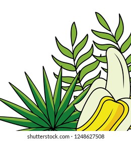 delicious banana cartoon