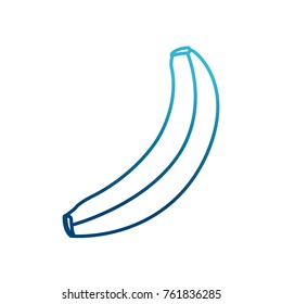 Delicious banana fruit