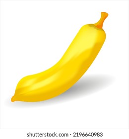 Delicious Banana Realistic vector Design