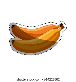 Delicious bananas fruit