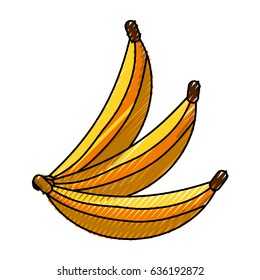 Delicious bananas fruit