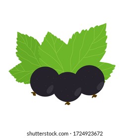 Delicious black currant icon. Vector illustration