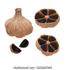 Delicious black garlic isolated on white background. Package design element with cutting path.Vector eps 10., perfect for wallpaper or design elements