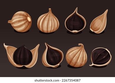 Delicious black garlic isolated on white background. Package design element with cutting path.Vector eps 10., perfect for wallpaper or design elements