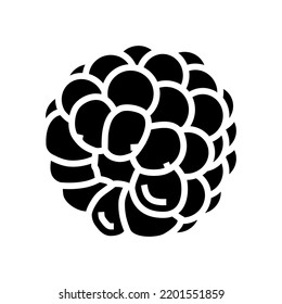 delicious blackberry glyph icon vector. delicious blackberry sign. isolated symbol illustration