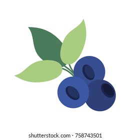 Delicious blueberries fruits