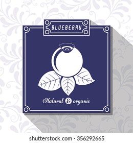 delicious blueberry design, vector illustration eps10 graphic 