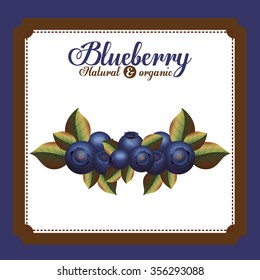 delicious blueberry design, vector illustration eps10 graphic 