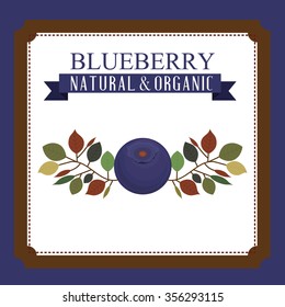 delicious blueberry design, vector illustration eps10 graphic 
