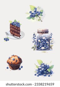 Delicious blueberry vector ensemble set.