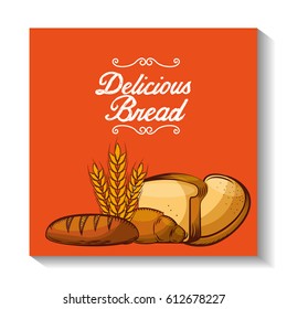 delicious bread bakery shop