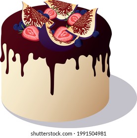 Delicious cake with fruits isolated vector illustration.  Cake with chocolate icing and fruits vector illustration.