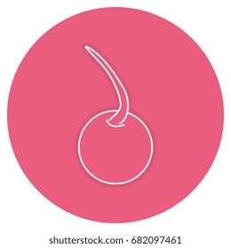 delicious cherry fruit icon