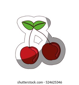 Delicious cherry fruit icon vector illustration design