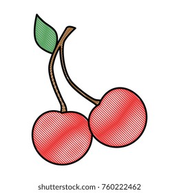 delicious cherry isolated icon