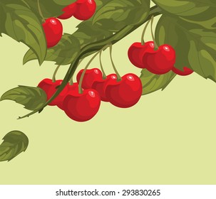 Delicious cherry on a branch. Spring Summer. Vector