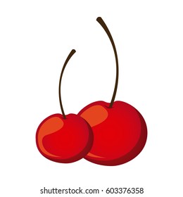 delicious cherrys fruit icon, vector illustration design