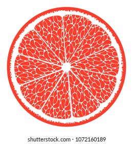 Delicious Citrus Fruit for Design, Template, Illustration, Advertizing, Card.