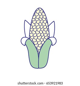 delicious cob to eat organic food