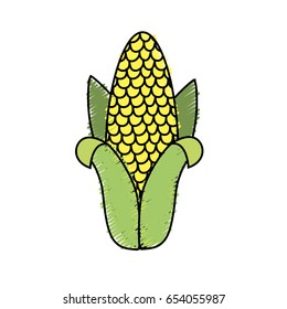 delicious cob to eat organic food
