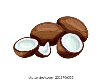 Deliciosos cocos aislados de fondo blanco. Ilustración vectorial de deliciosos cocos enteros y medios al estilo de las caricaturas. Icono de coco. Frutos sanos y orgánicos. Fruta exótica.