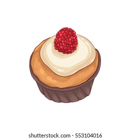 Delicious cupcake. Decorative vector illustration for your design. Tasty dessert with berry on light background.