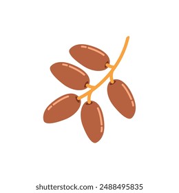 Fruta de dátiles deliciosos, esencial para el Iftar de Ramadán