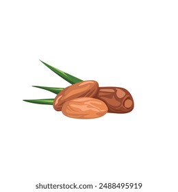 Leckere Datteln Obst, essenziell für Ramadan Iftar