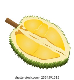 Delicious durian fruit on a white background.