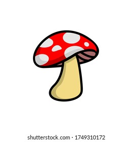 delicious edible red champignon mushroom vector illustration design