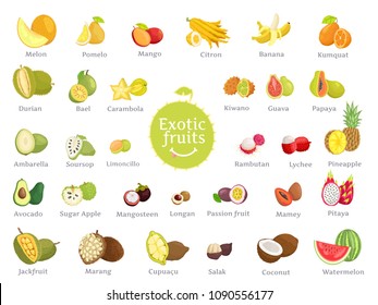 Delicious exotic fruits full of vitamins. Natural products of sweet and sour taste from hot countries all over world isolated vector illustrations.