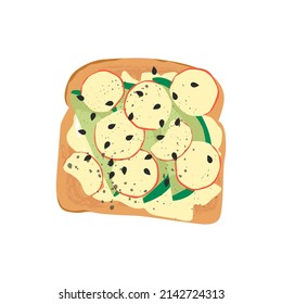 Delicious french toast breakfast. Healthy food concept. Sandwich made of fresh toasted bread with sliced radish, avocado, cream cheese  and seasoning herbs. Cartoon hand drawn vector illustration. 