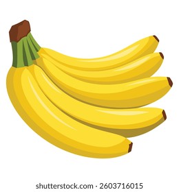 Delicious and fresh banana fruit, vector illustration. Bright and vibrant design, ideal for food related themes, healthy lifestyle concepts, and fruit themed designs. 