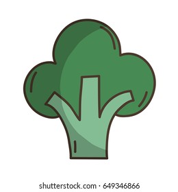 delicious fresh broccoli organic vegetable
