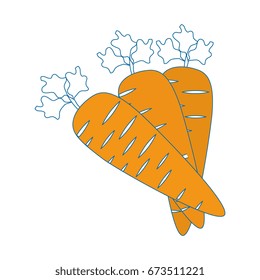 Delicious and fresh carrot