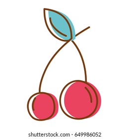 delicious fresh cherry organic fruit