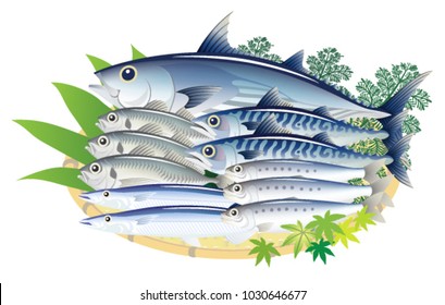 Delicious fresh fish isolated on the white background