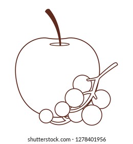 delicious and fresh fruit