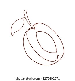 delicious and fresh fruit