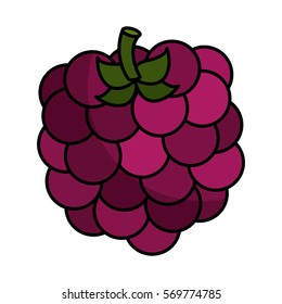 delicious fresh fruit icon vector illustration design