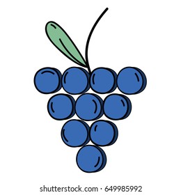 delicious fresh grape organic fruit