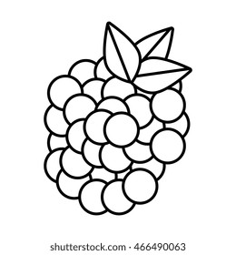 Delicious and fresh grapes fruit, isolated flat icon design vector illustration.