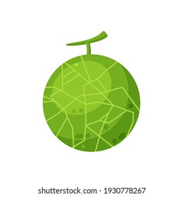 Delicious fresh green melon vector illustration, melon flat icon