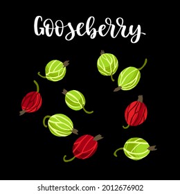 Delicious fresh green and red gooseberry. Healthy nutrition product. Vector hand drawn flat isolated illustration with dry brush texture and hand written lettering for your design.